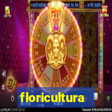 floricultura botafogo rj